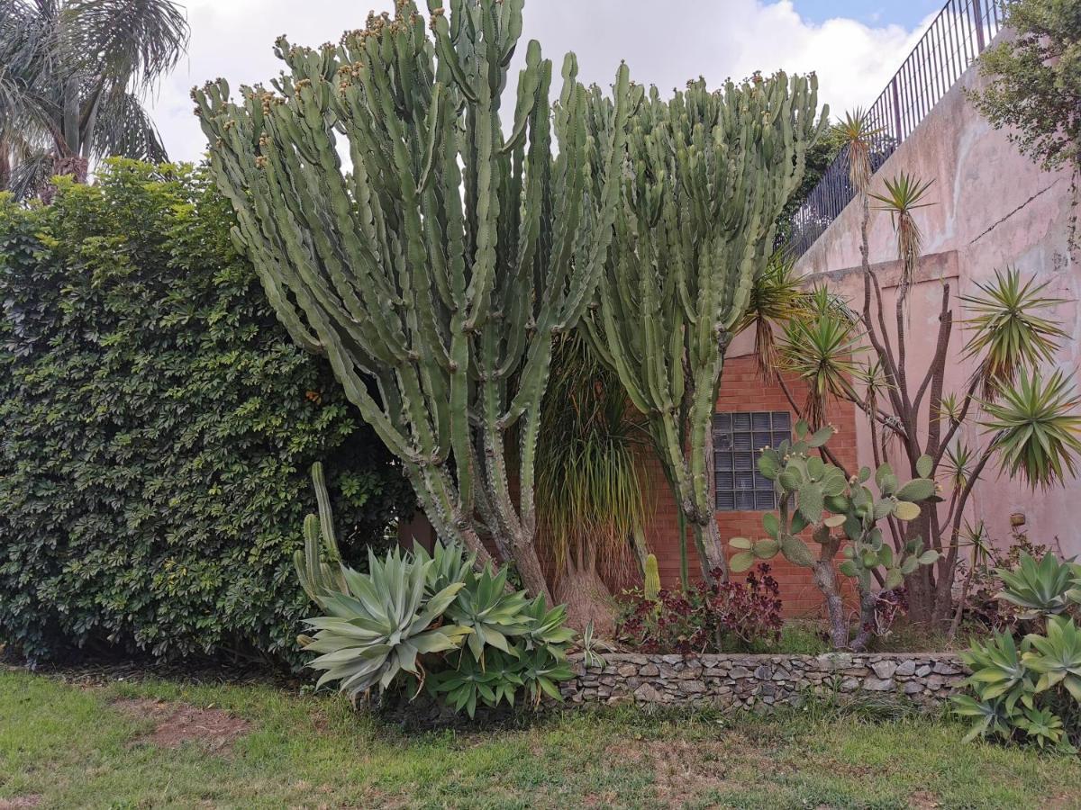 مسينا Villa Grande المظهر الخارجي الصورة